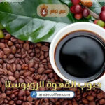 القهوة الروبوستا