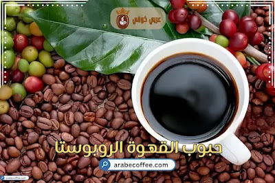 القهوة الروبوستا