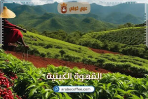 مناطق زراعة القهوة في كينيا