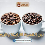 الفرق بين الأرابيكا والروبوستا