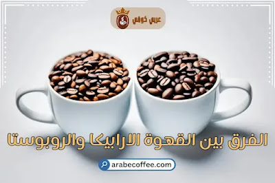 الفرق بين الأرابيكا والروبوستا