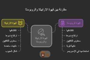 ما هي قهوة الارابيكا والروبوستا