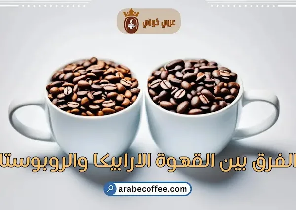 الفرق بين القهوة الارابيكا والروبوستا: دليلك الشامل