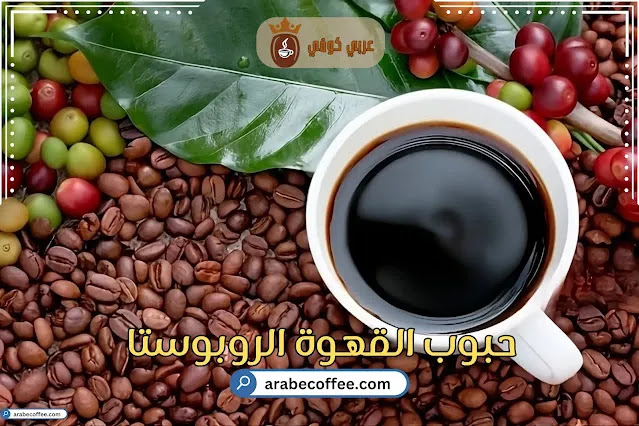 كل ما تبحث عنة لحبوب القهوة الروبوستا – دليل كامل