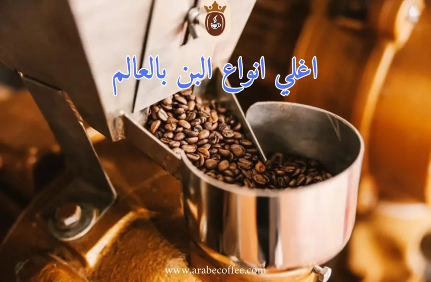 اغلي انواع البن بالعالم: من كوبي لواك إلى بلاك آيفوري