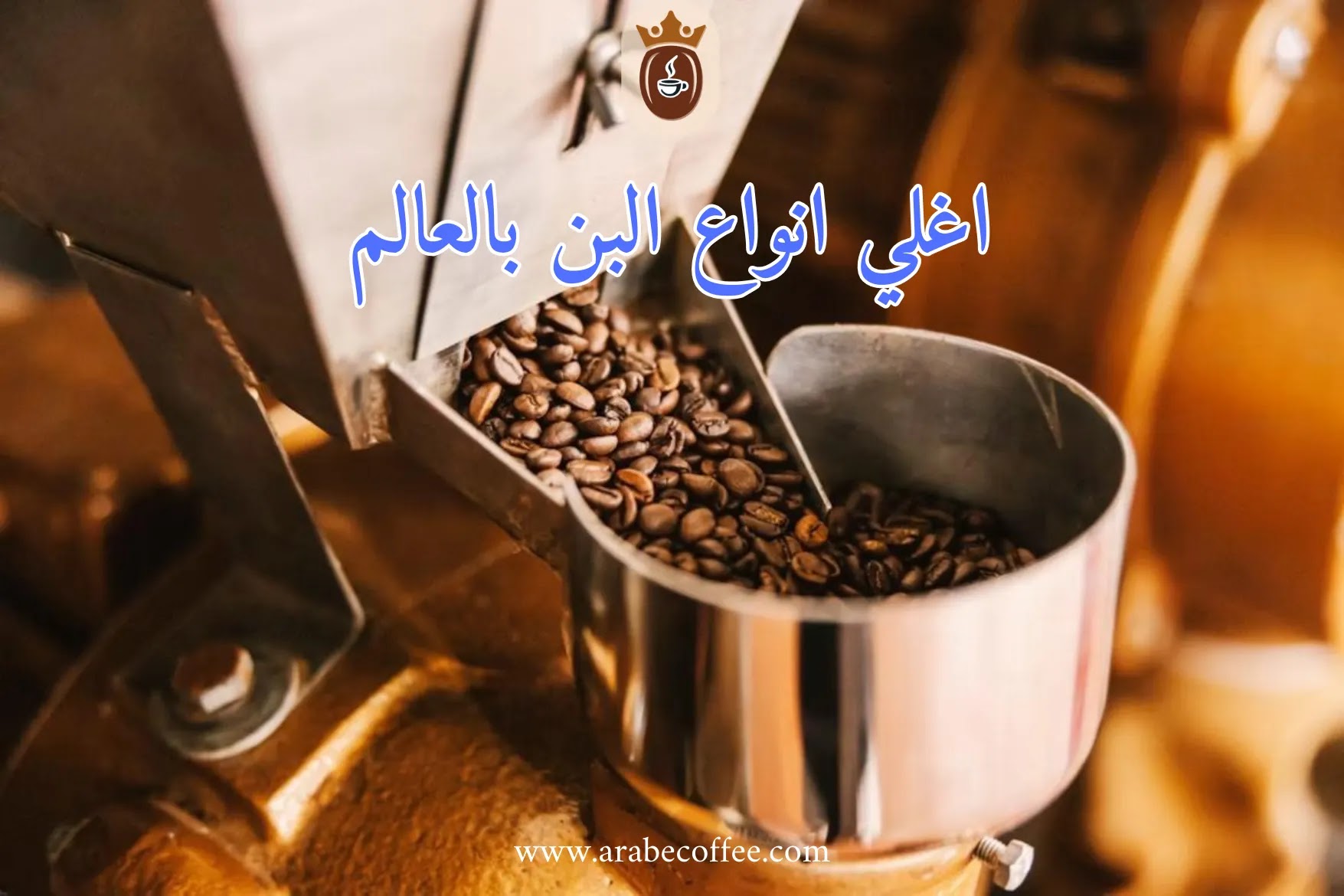 اغلي انواع البن بالعالم: من كوبي لواك إلى بلاك آيفوري